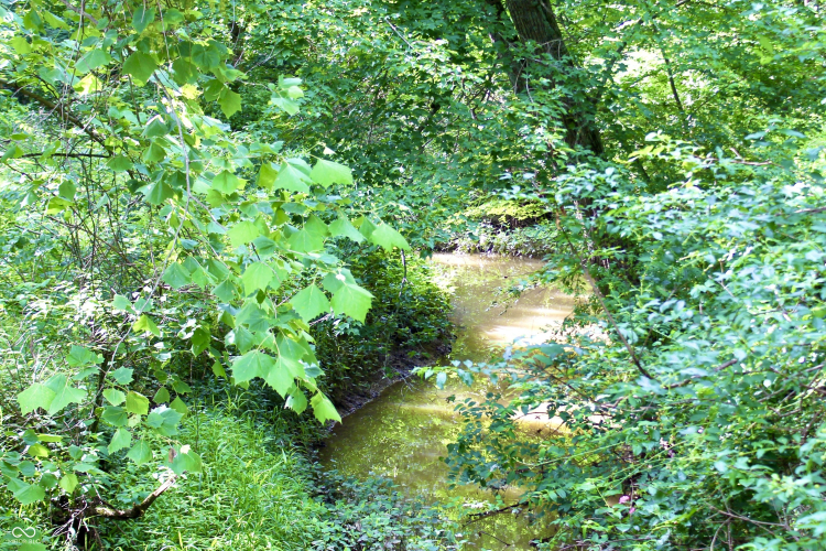 Listing Image 53
