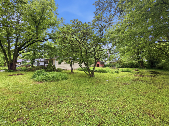 Listing Image 12