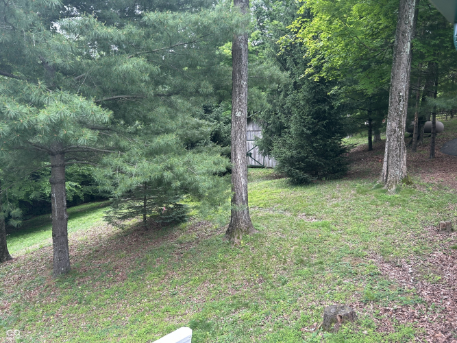 Listing Image 19