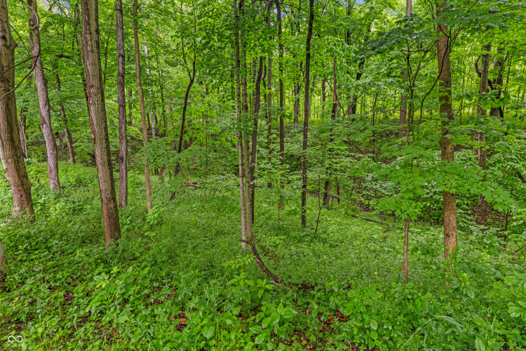 Listing Image 40