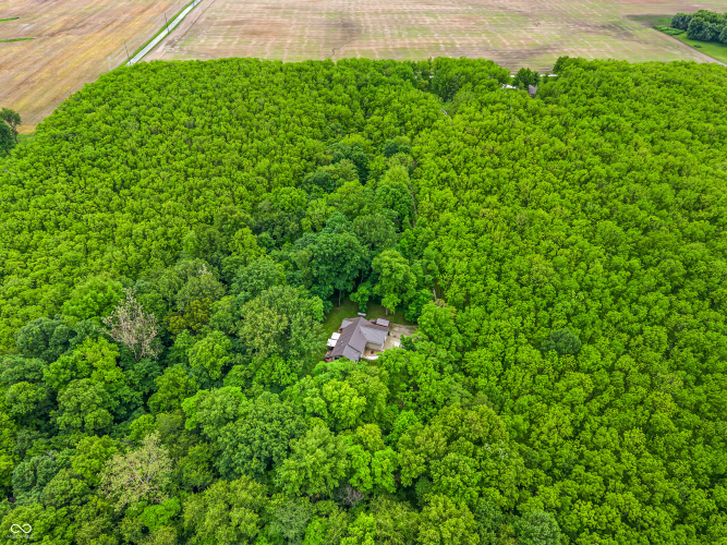 Listing Image 55