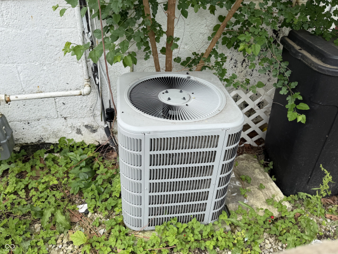 Listing Image 15