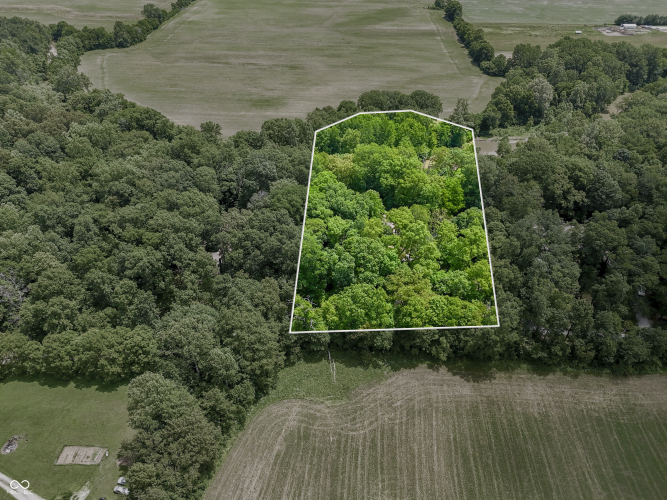 Listing Image 62