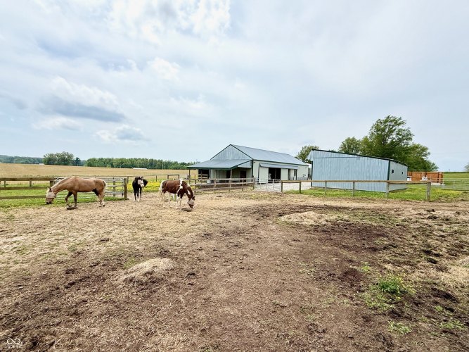 Listing Image 31