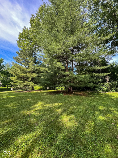 Listing Image 38
