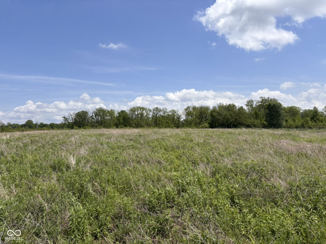 Listing Image 27