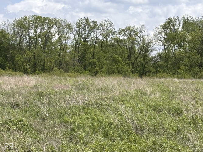 Listing Image 28
