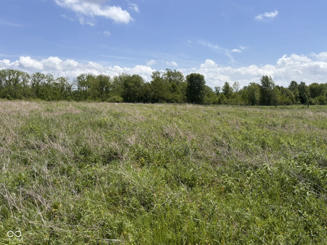 Listing Image 30