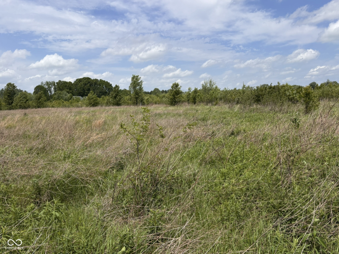 Listing Image 42