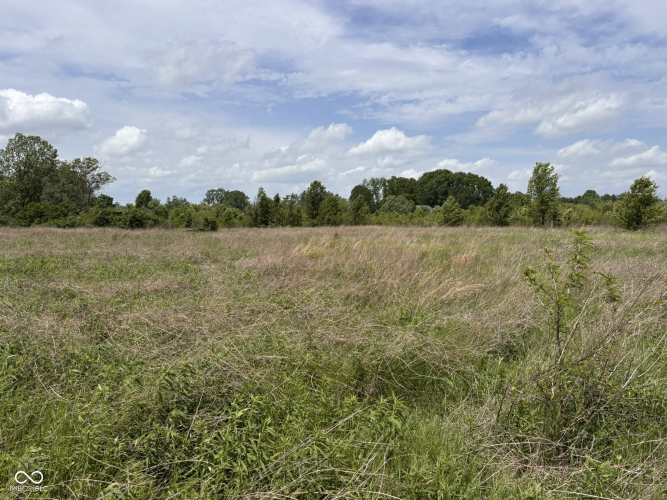 Listing Image 43