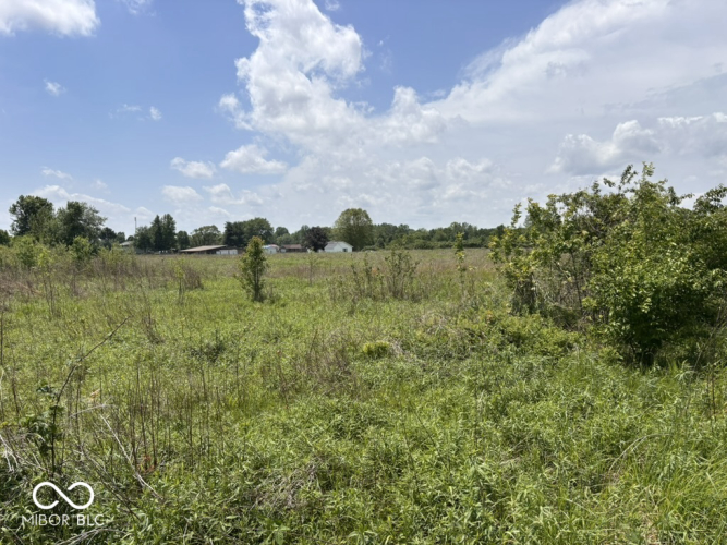 Listing Image 50