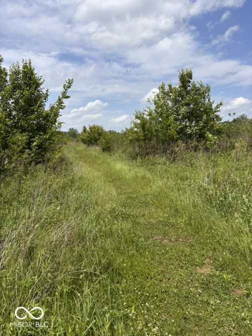 Listing Image 51