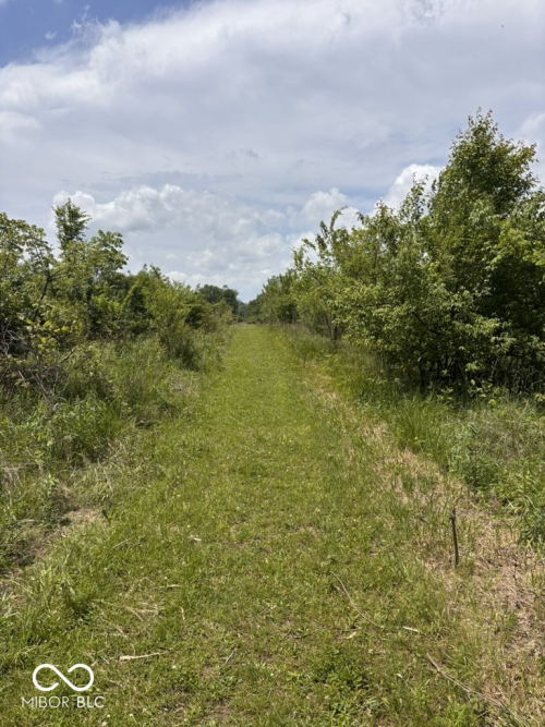 Listing Image 52