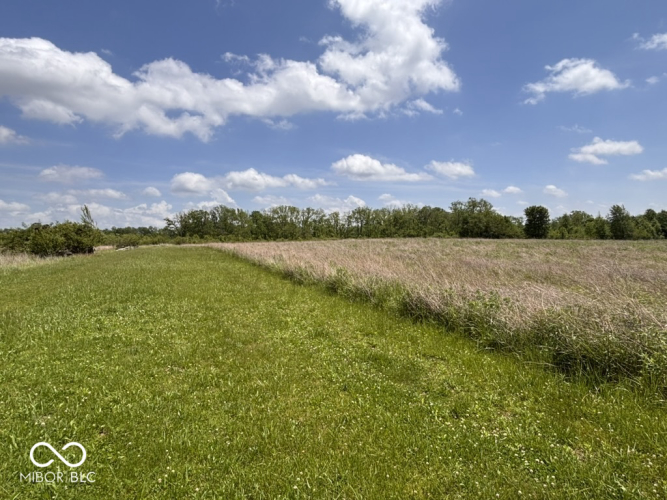 Listing Image 62