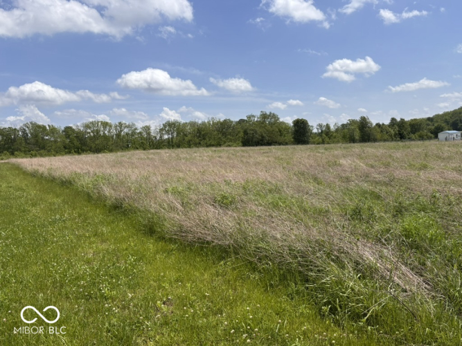 Listing Image 65