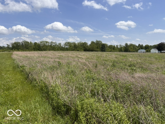 Listing Image 66