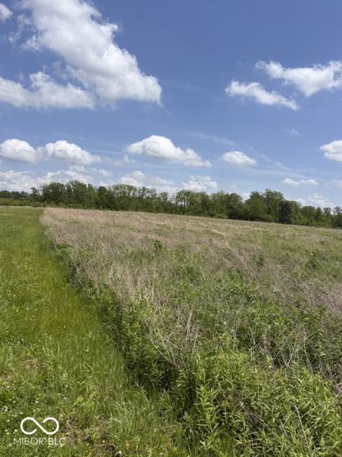 Listing Image 68