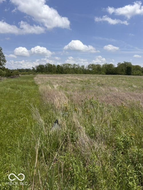 Listing Image 69