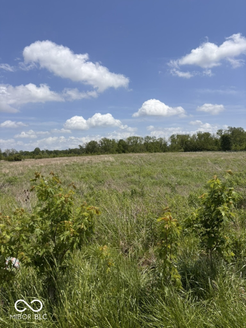 Listing Image 71