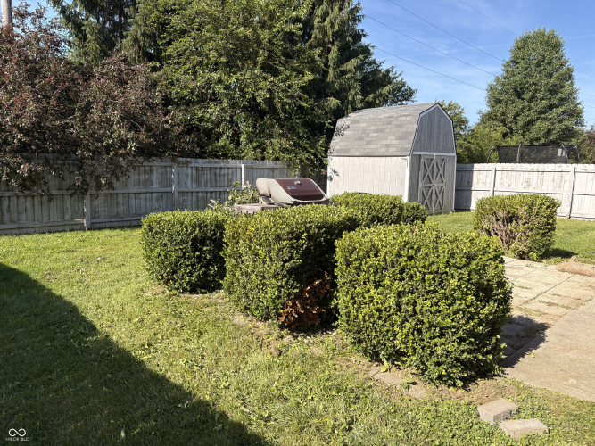 Listing Image 4