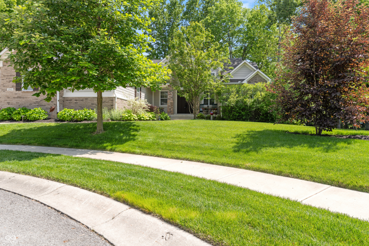 Listing Image 53