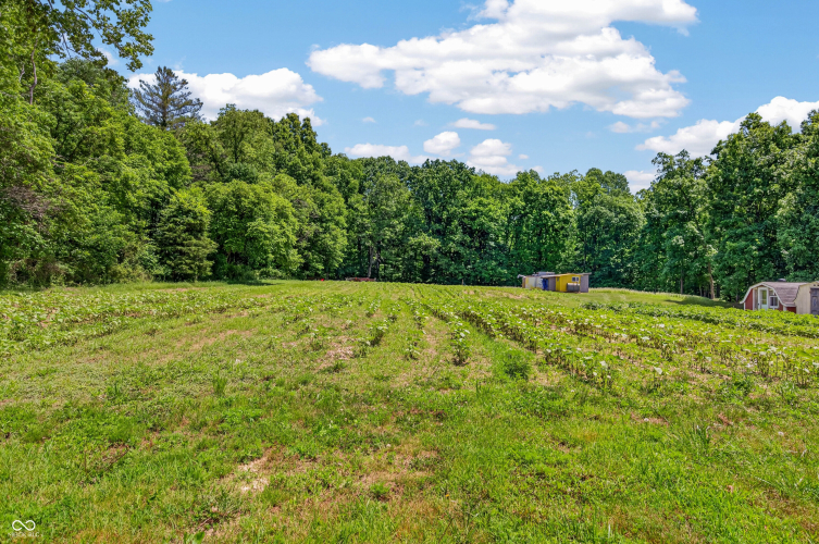 Listing Image 55