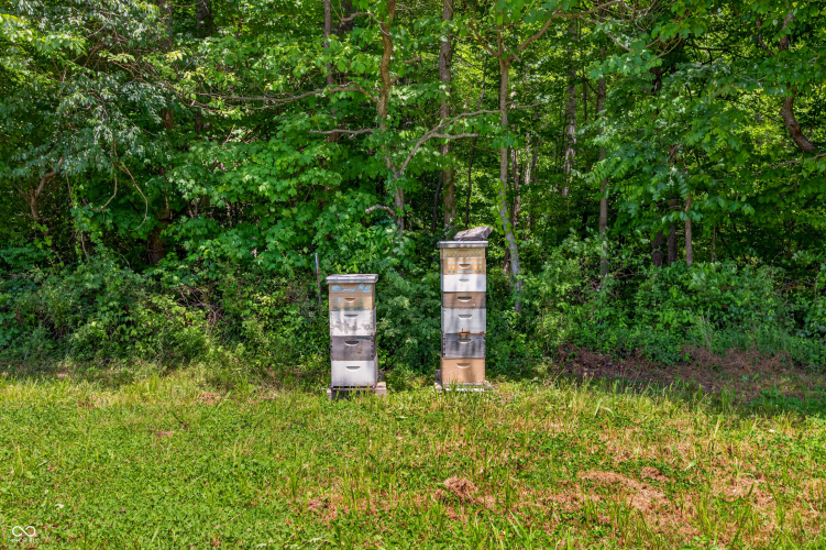 Listing Image 56