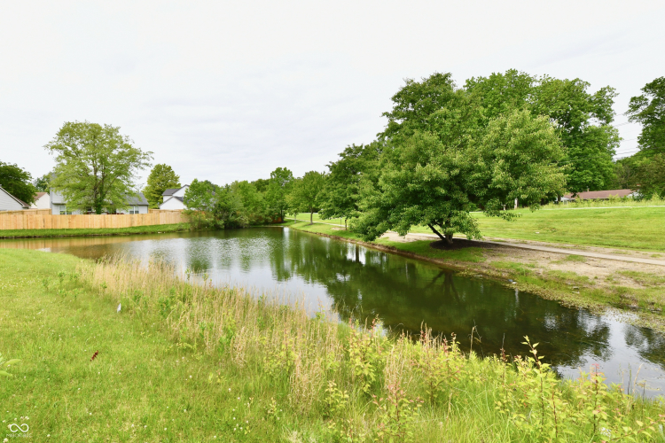 Listing Image 37