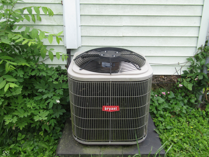 Listing Image 15