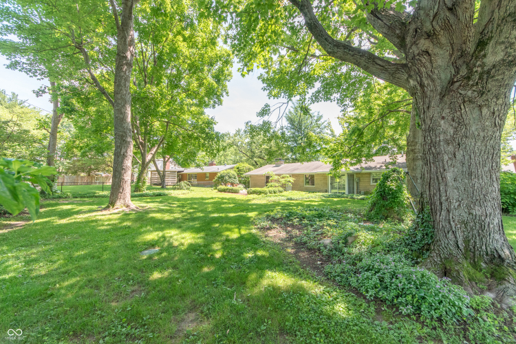 Listing Image 49