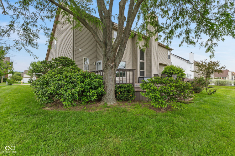 Listing Image 49