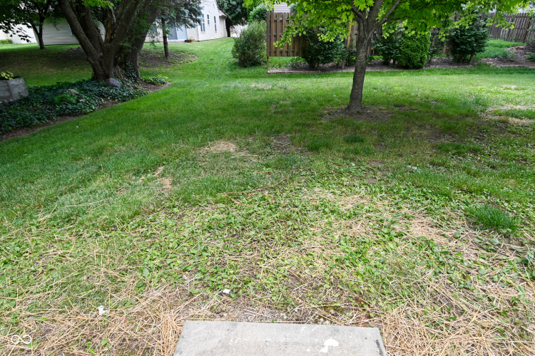 Listing Image 42