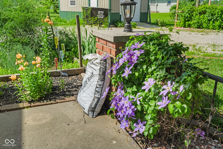 Listing Image 14