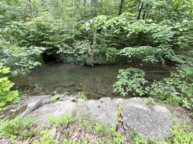 Listing Image 32
