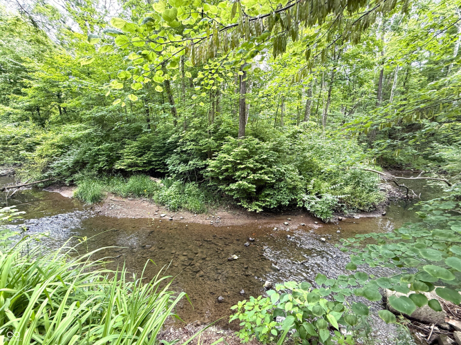 Listing Image 33