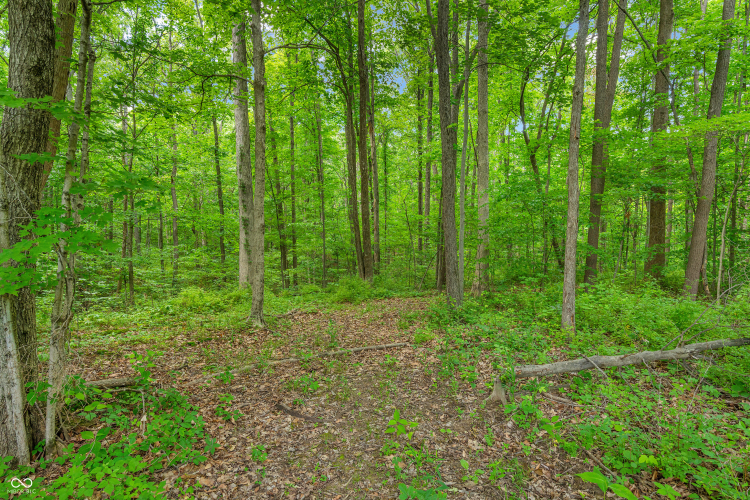 Listing Image 63