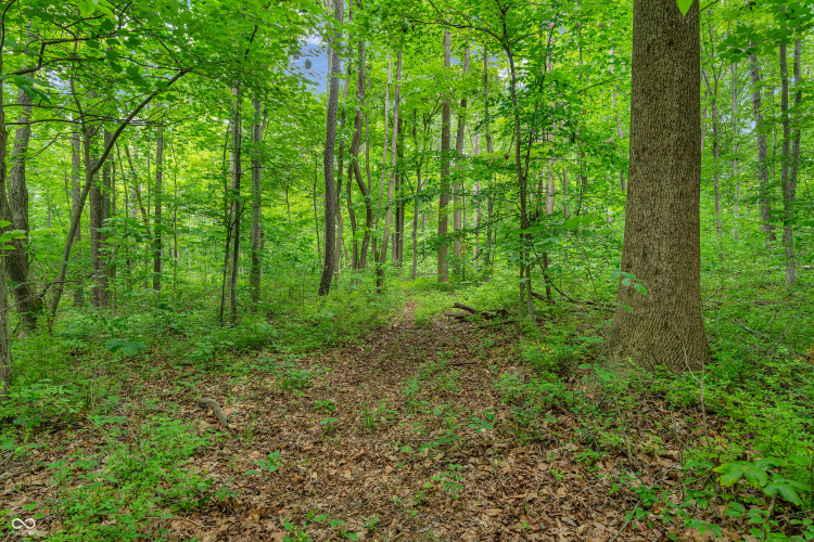 Listing Image 64