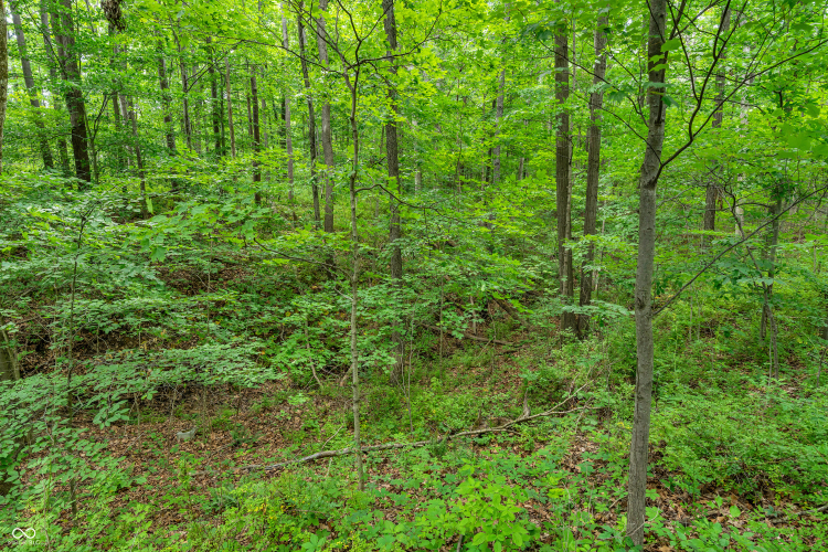 Listing Image 65