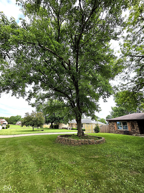 Listing Image 29