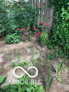 Listing Image 44