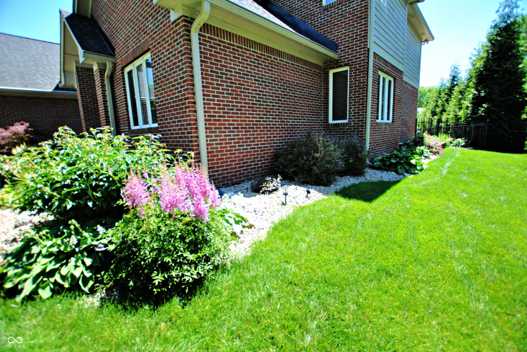 Listing Image 98