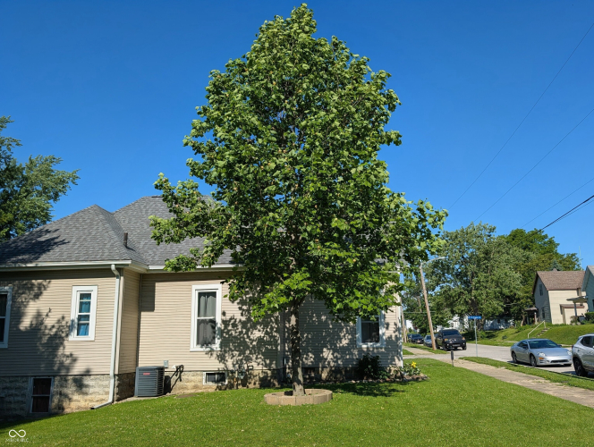 Listing Image 16