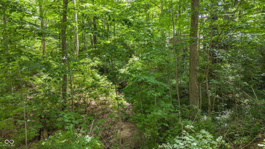 Listing Image 84