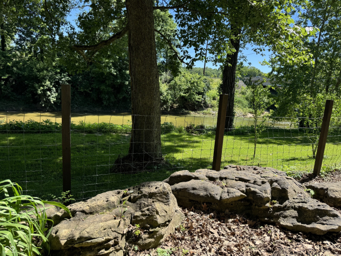 Listing Image 16