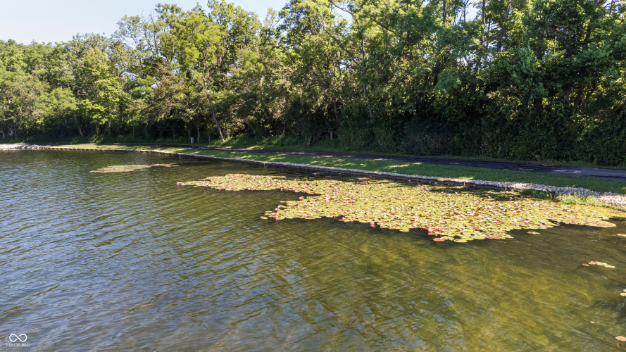 Listing Image 106