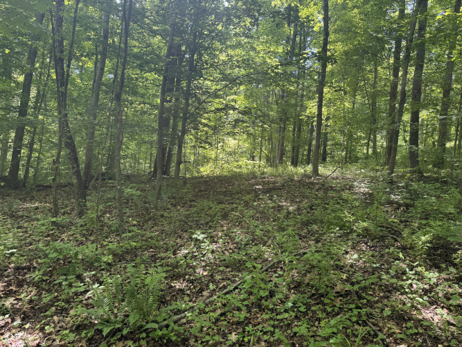 Listing Image 25