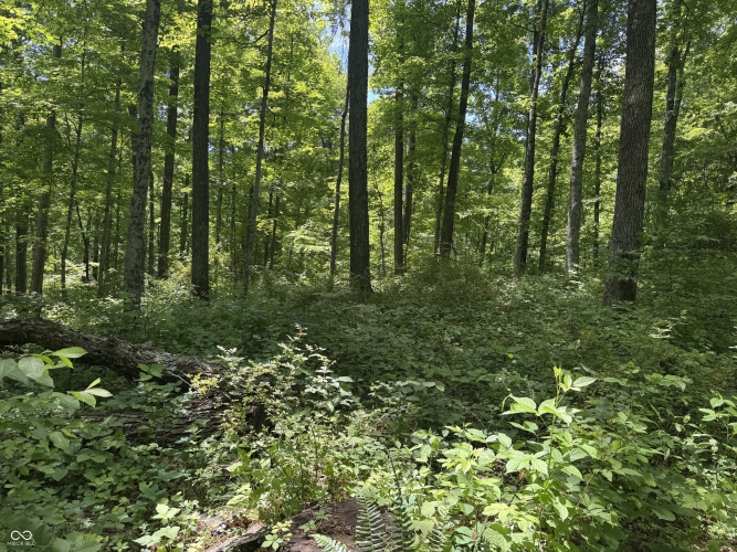Listing Image 26