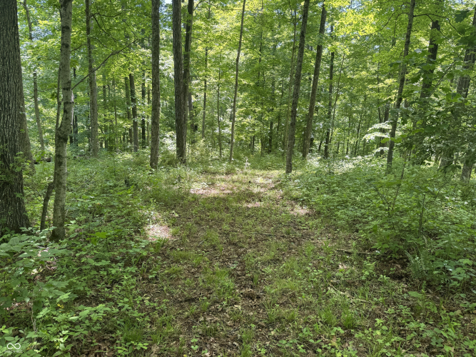 Listing Image 27