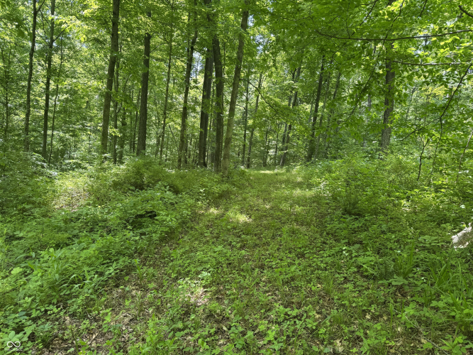Listing Image 28