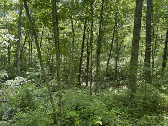 Listing Image 29